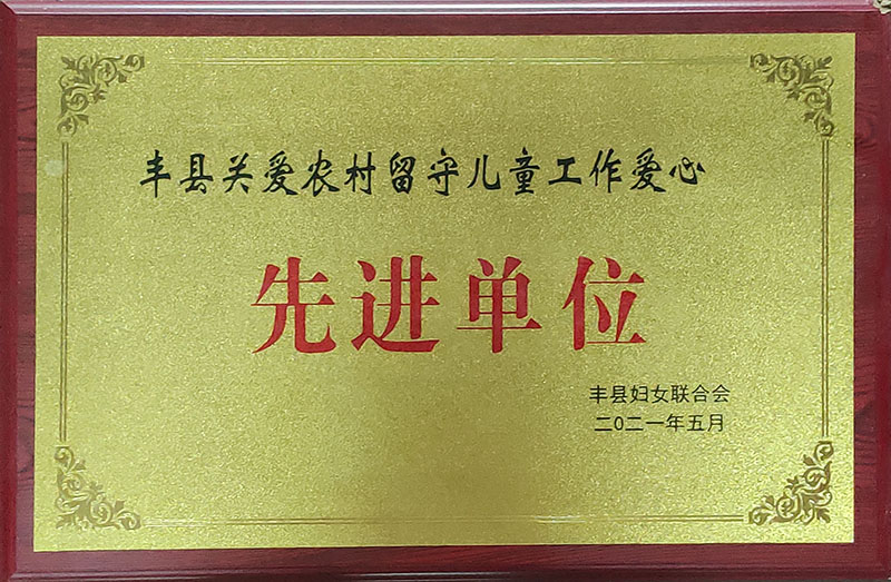28、关爱留守儿童先进单位.jpg