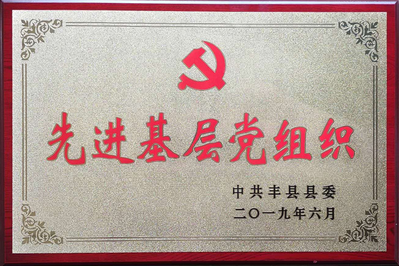 17.先进基层党组织 (2).jpg